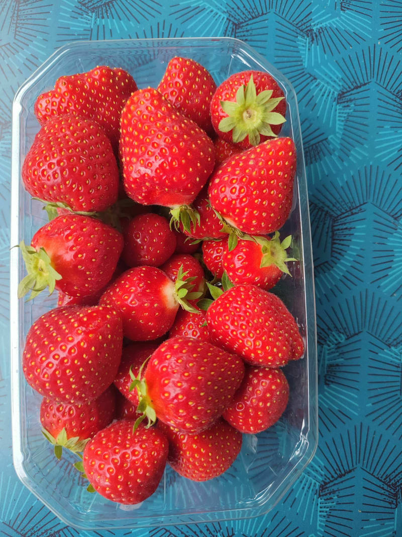 La route des fraises à Limeuil - Alles-sur-Dordogne