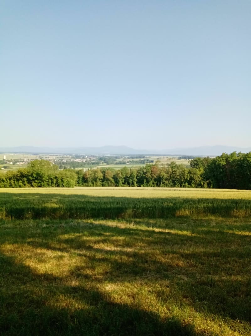 Le circuit des bunkers à Illfurth - Illfurth