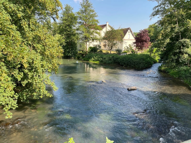 Un ptit coin de paradis à Guérard La Celle sur Morin - Guérard