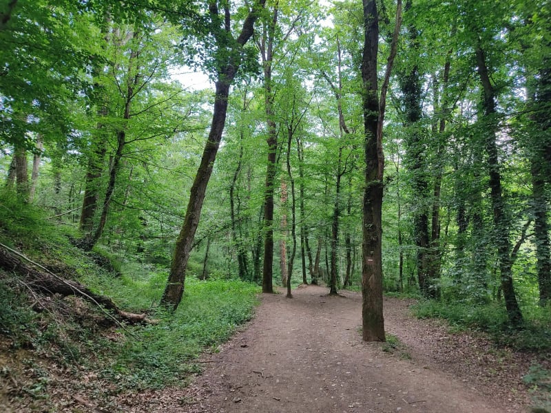 Boucle VTT facile entre Chaponost et Brindas - Chaponost