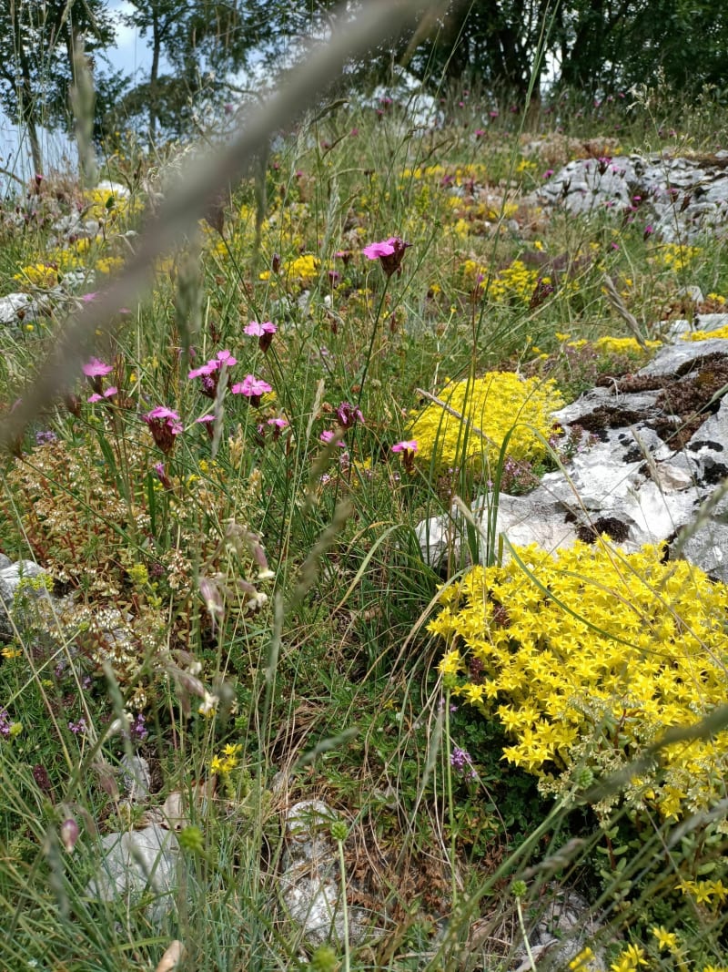 Mooie wandeling op de Col de Cuvéry - Valserhône