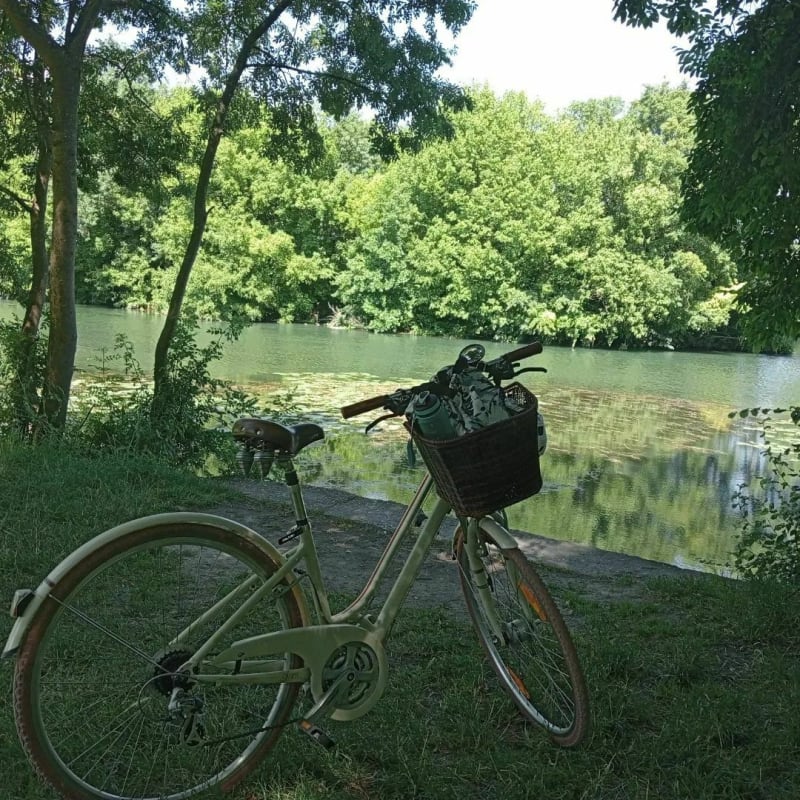 Flow vélo Saintes Cognac - Saintes
