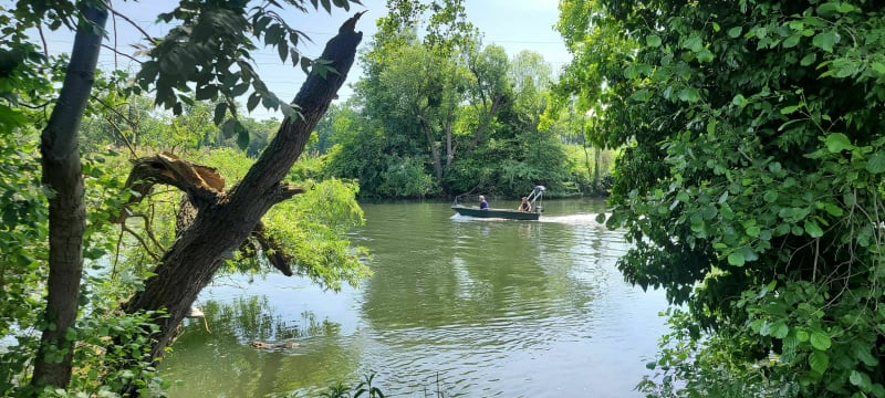 Balade le long de l'Ill à Strasbourg - Strasbourg