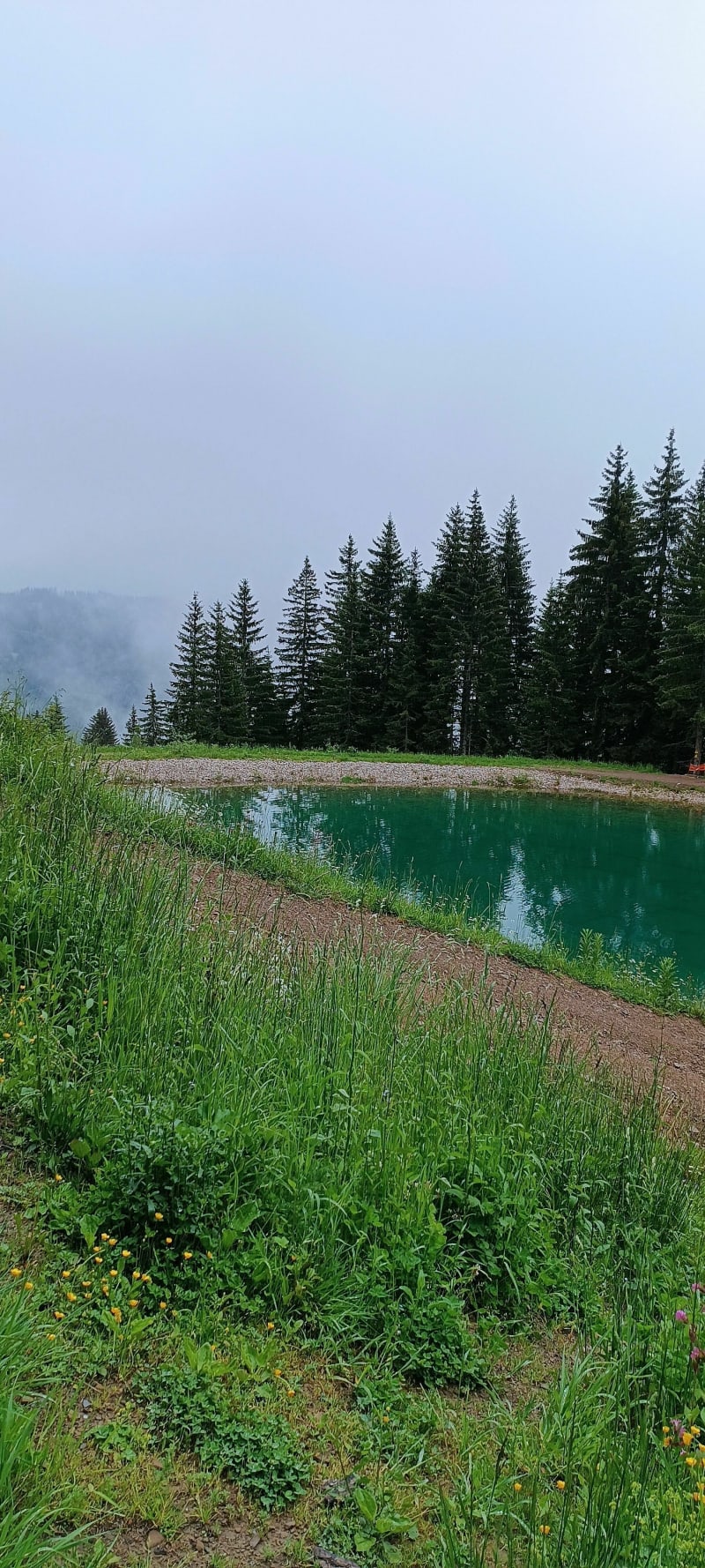 Rando au mont Caly - Les Gets