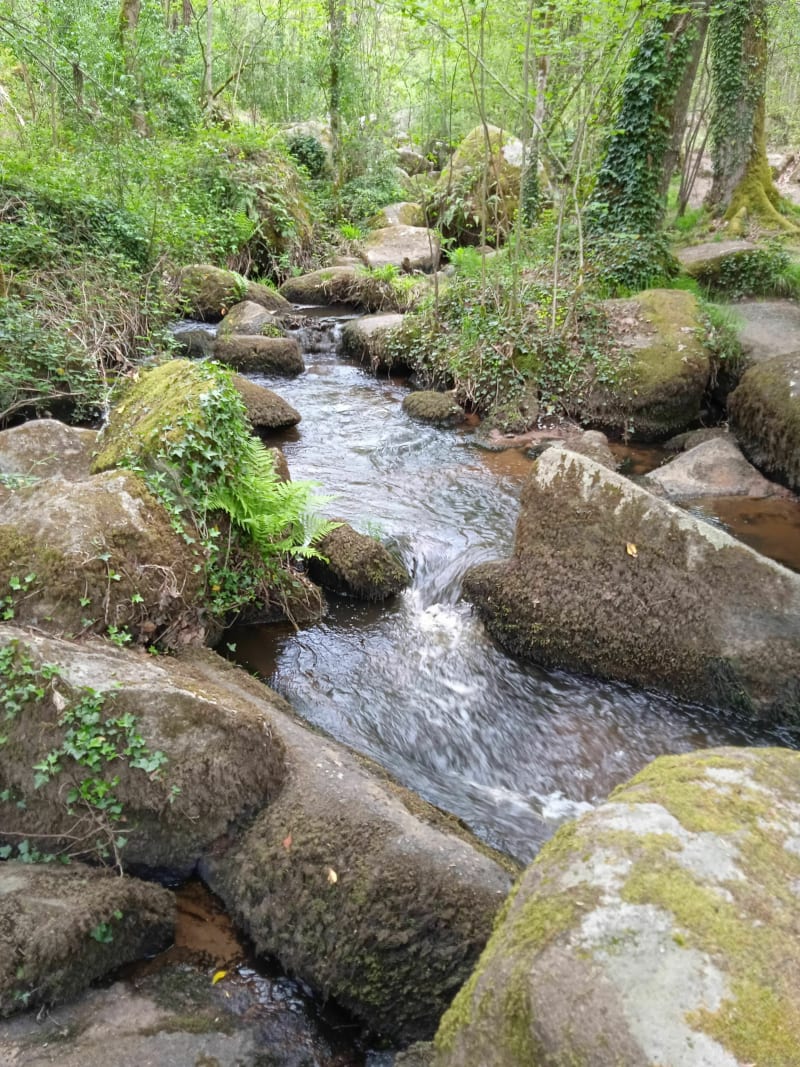 Saint junien Glane - Saint-Junien