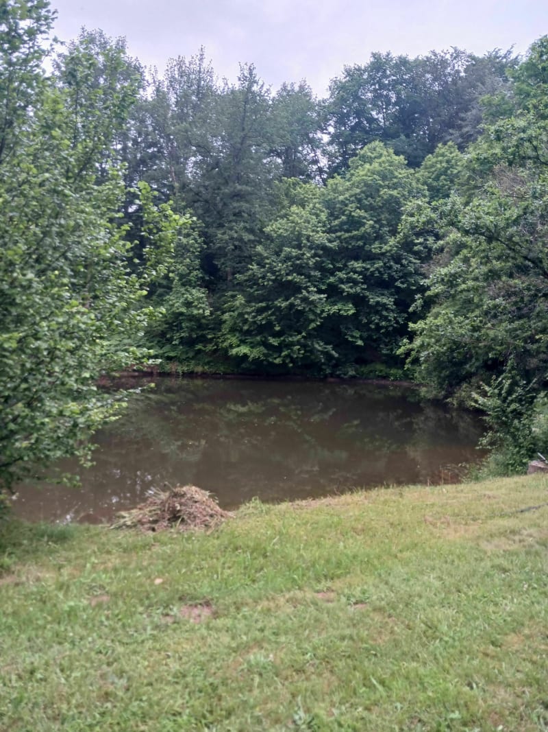 Rando des escargots par l'Etang du Chatenêt - Boisseuil