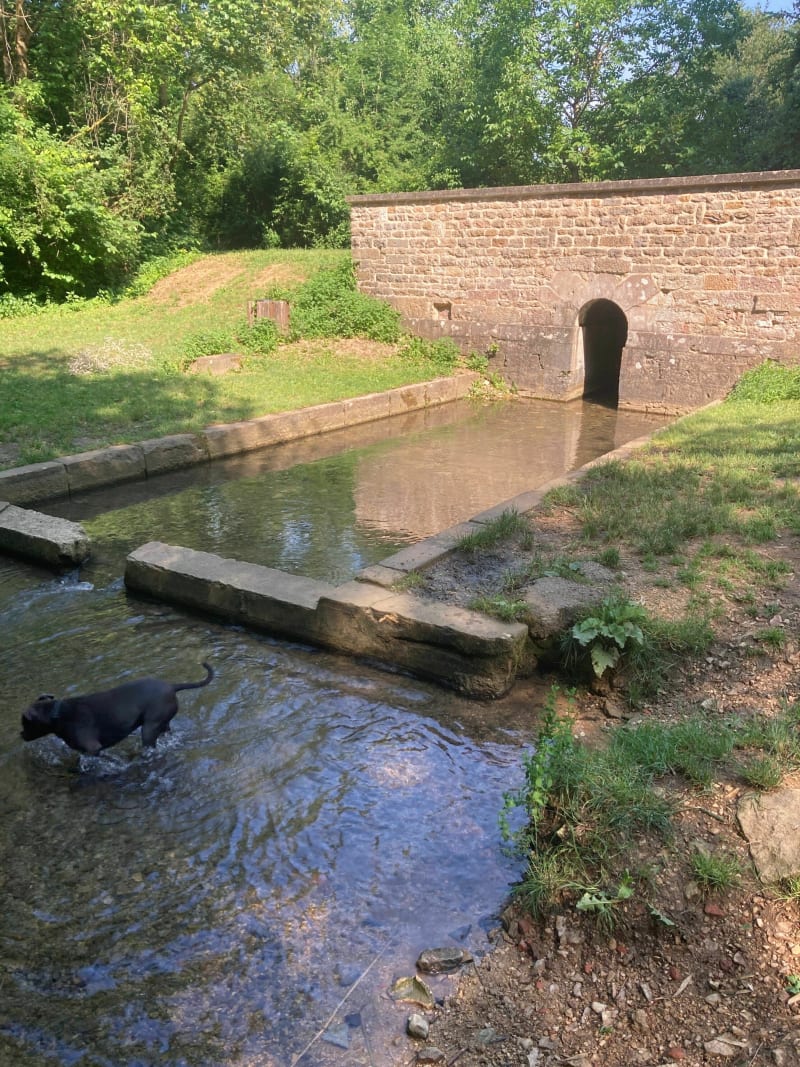 Le Marais de  Sans Fond - Fénay