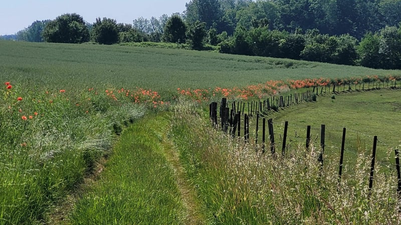 De Liez à Versigny via Saint Nicolas aux Bois - Liez