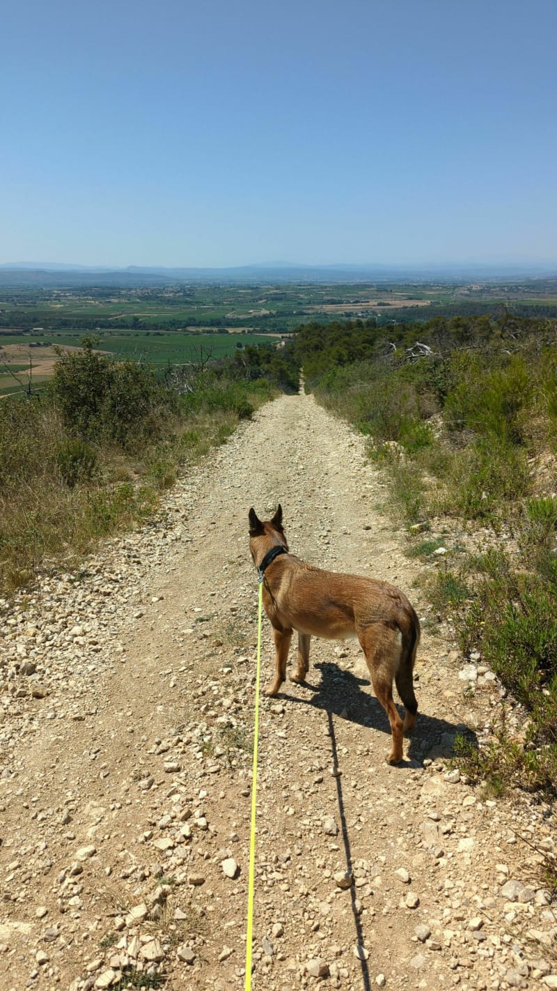 Promenade à Bize Minervois - Bize-Minervois