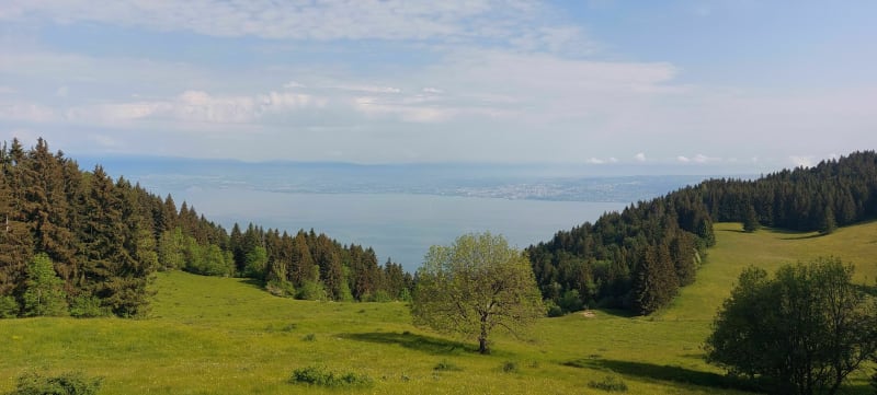 Croix du Mont Bénand et les Granges - Féternes