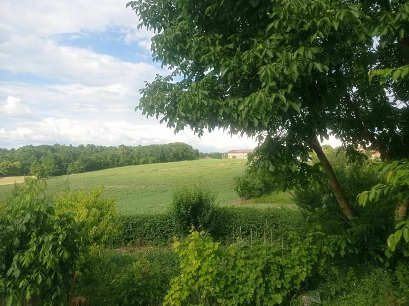 Boucle dans la Double depuis Saint Martin de Ribérac - Saint-Martin-de-Ribérac