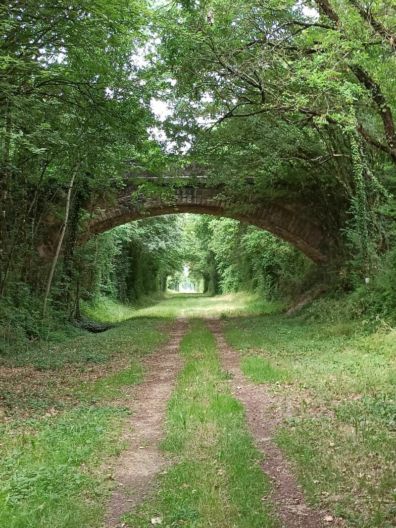 Belle balade à Savigné - Savigné