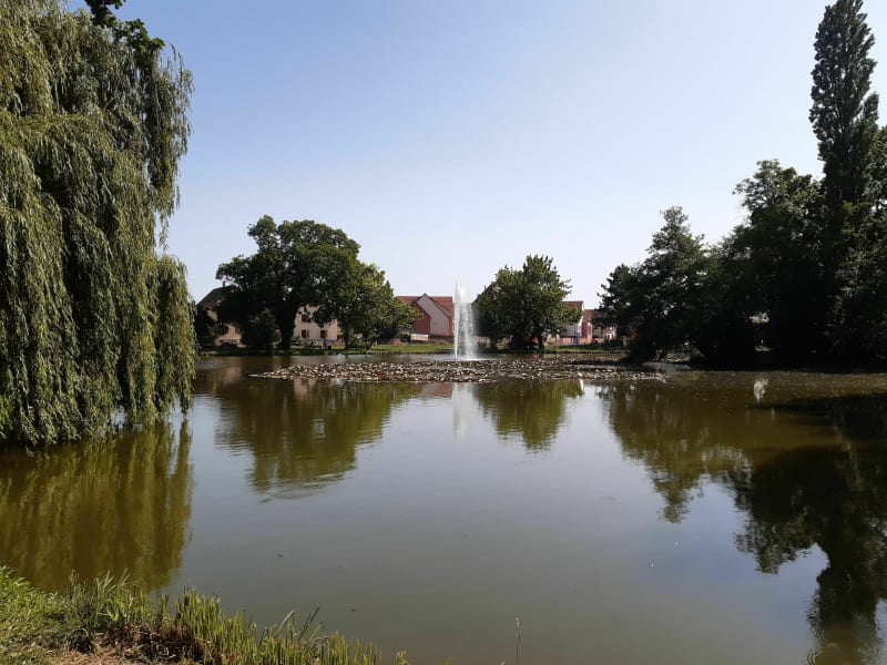 Balade dans les proches villages au sud-ouest de Strasbourg - Strasbourg