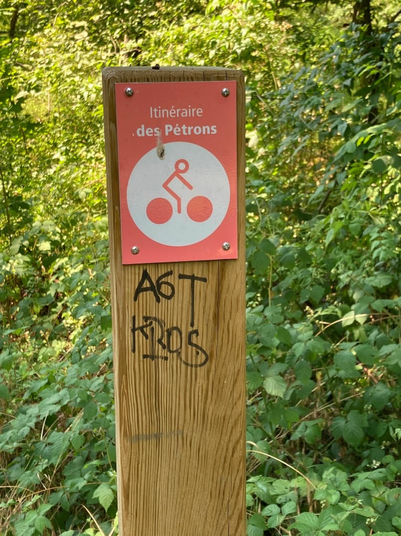 Balade forêt St Germain en suivant l’itinéraire des Pétrons - Saint-Germain-en-Laye