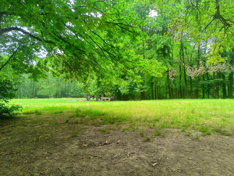 Belle montée au Bois de Meudon - Montrouge