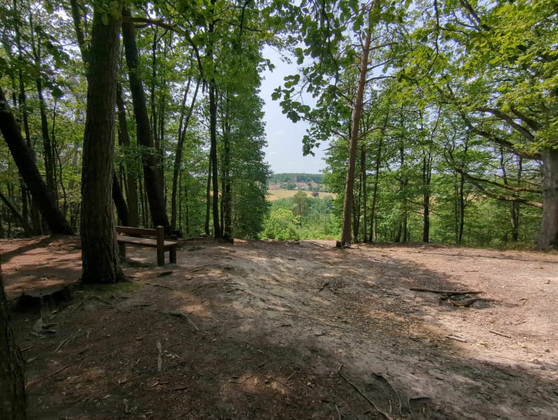 VTT / ENDURO Maurepas UP&Down - Maurepas