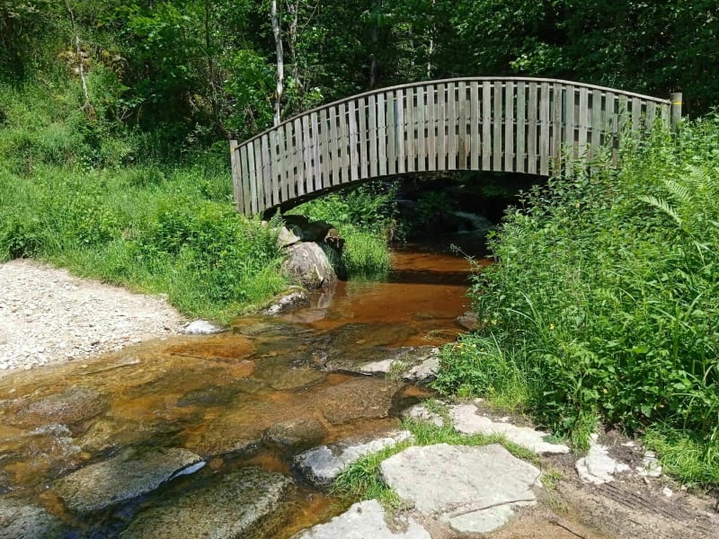 Balade sur Sainte Sigoléne (Vaubarlet) - Sainte-Sigolène