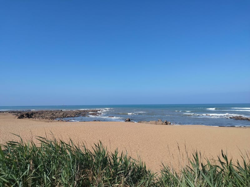 Balade à vélo du côté des dunes et forêt des Sables-d'Olonnes - Les Sables-d'Olonne