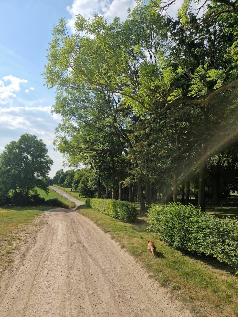Boucle de la Chaudière - Saint-Laurent-Blangy
