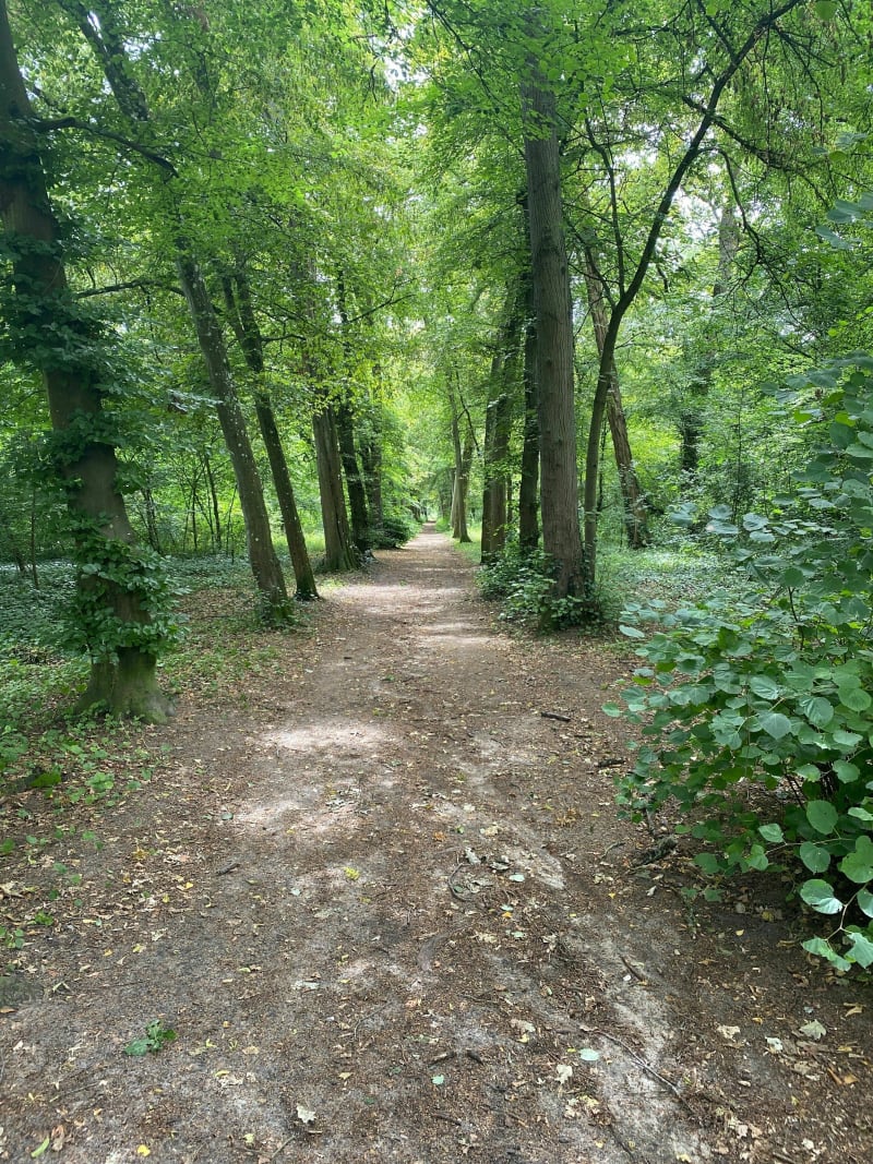 Ponts de Boran et Précy par Bois des Bouleaux et la Nonette - Gouvieux