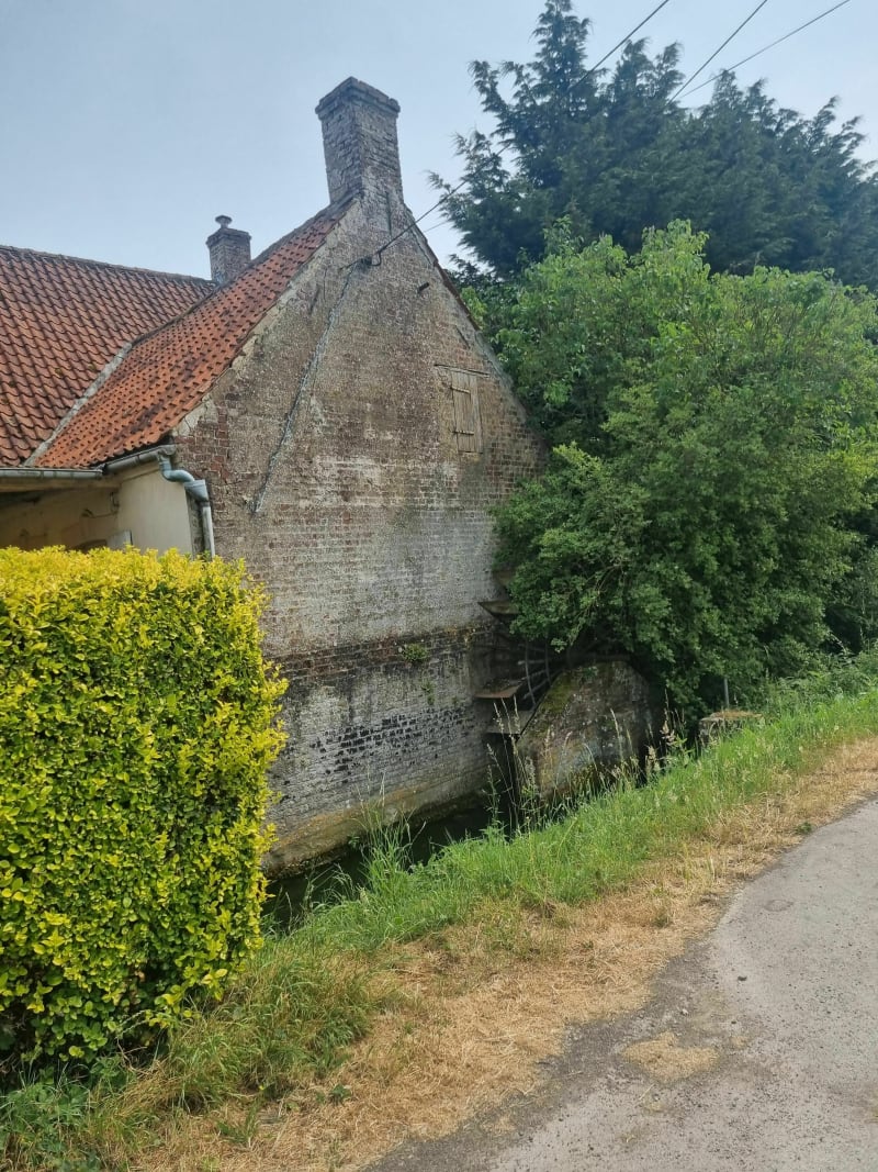 Balade au bord du marais et la Serques - Tilques