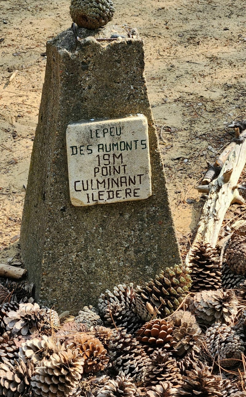 Le Peu des Aumonts - Le Bois-Plage-en-Ré