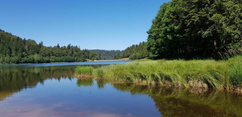 Lac de la Lande depuis La Vologne - La Bresse