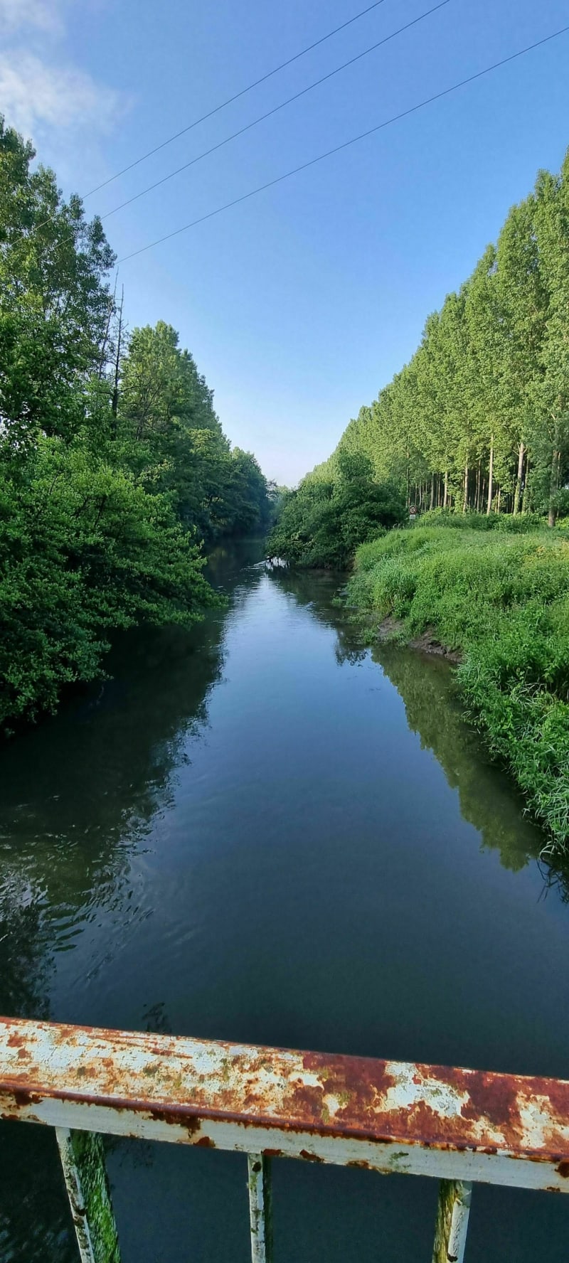 Le long de la Bourbre - Charvieu-Chavagneux