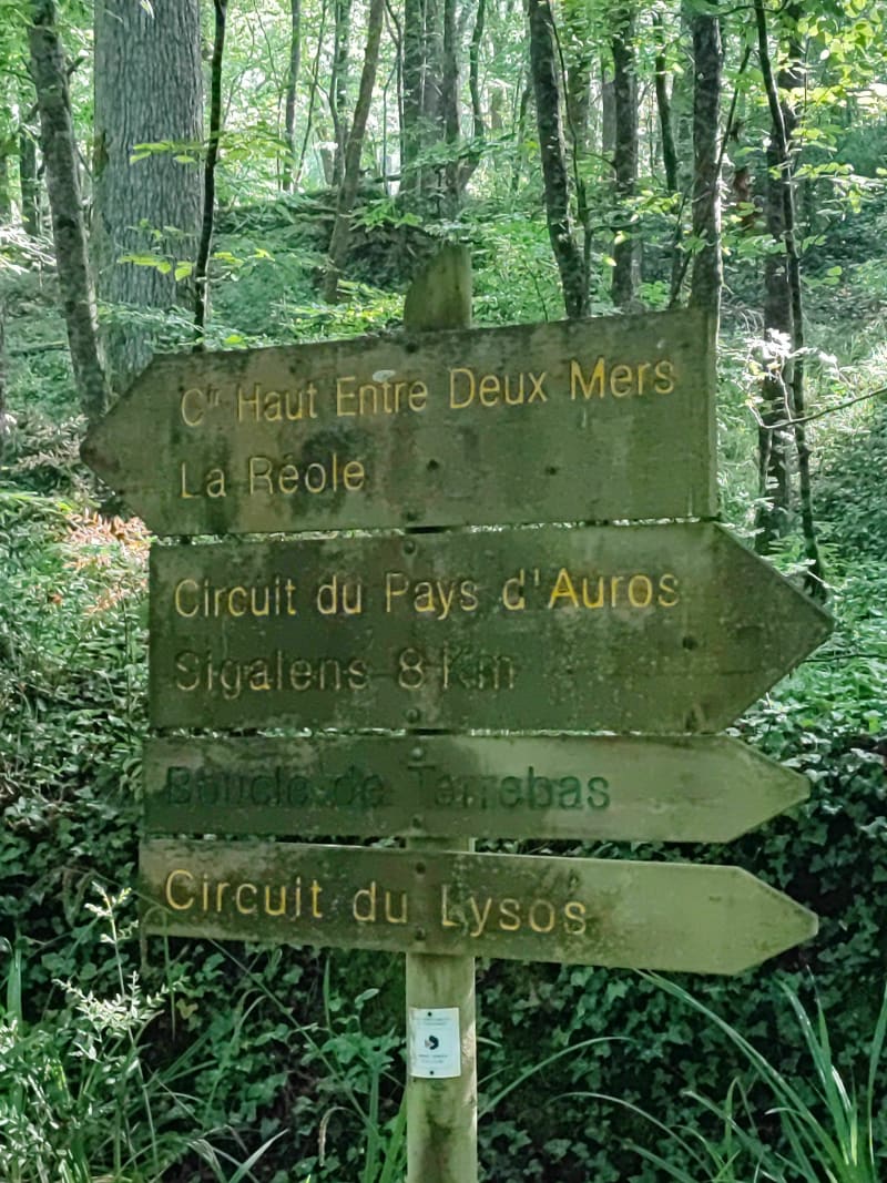 Découverte des chemin sur Aillas par Sigalens à VTT - Aillas