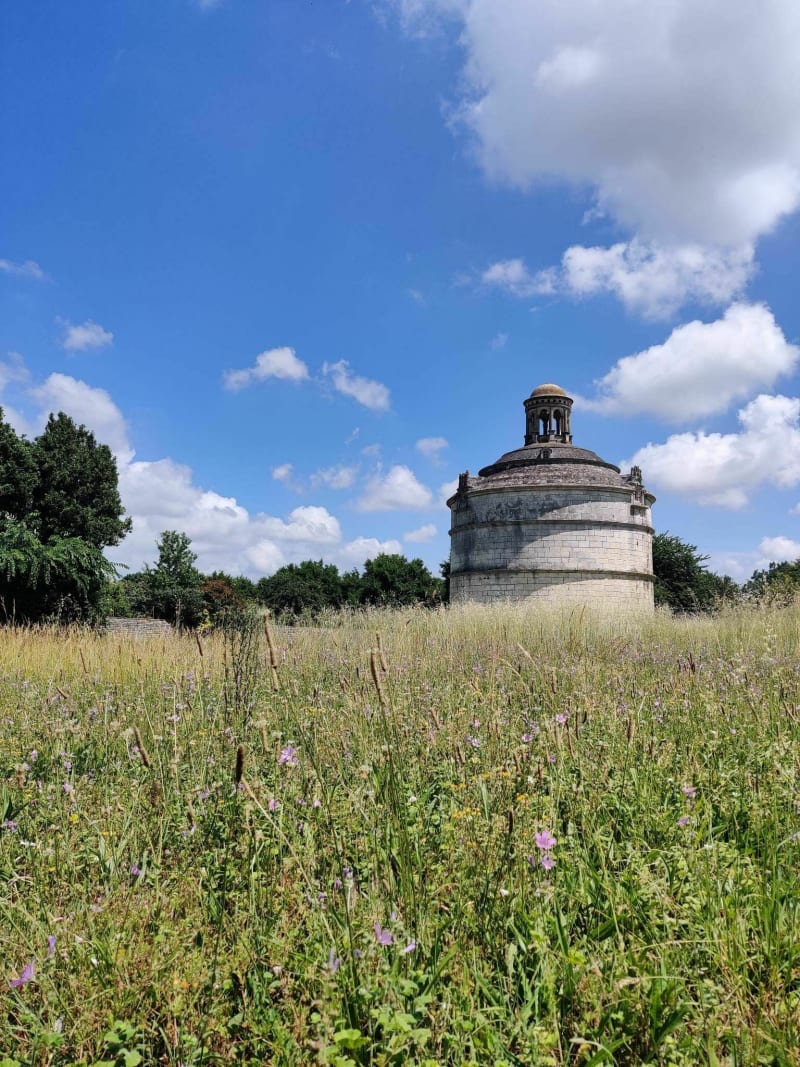 Petite boucle à Saint-Agnant - Saint-Agnant