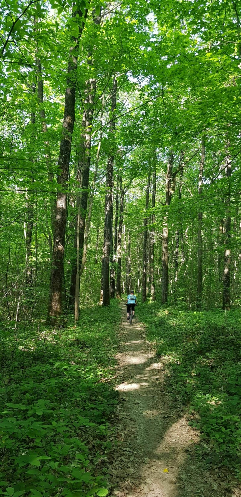 25 km de VTT de Cramant - Cramant