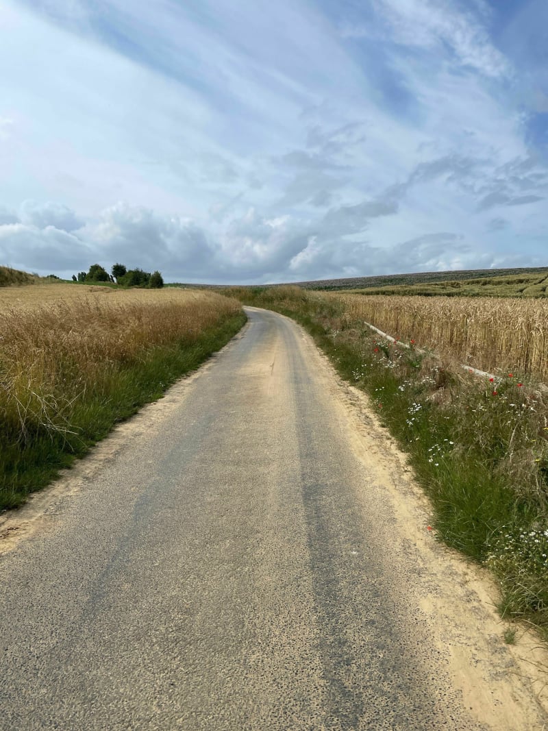 Balade dans les champs - Croisilles