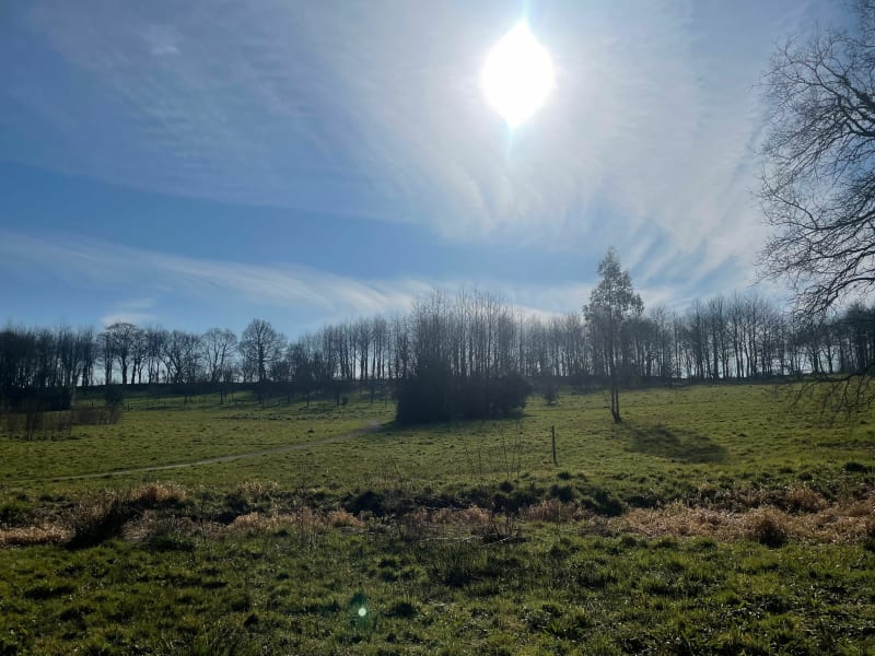 Un dimanche par la Lande de Coulon et l'abbaye - Montfort-sur-Meu