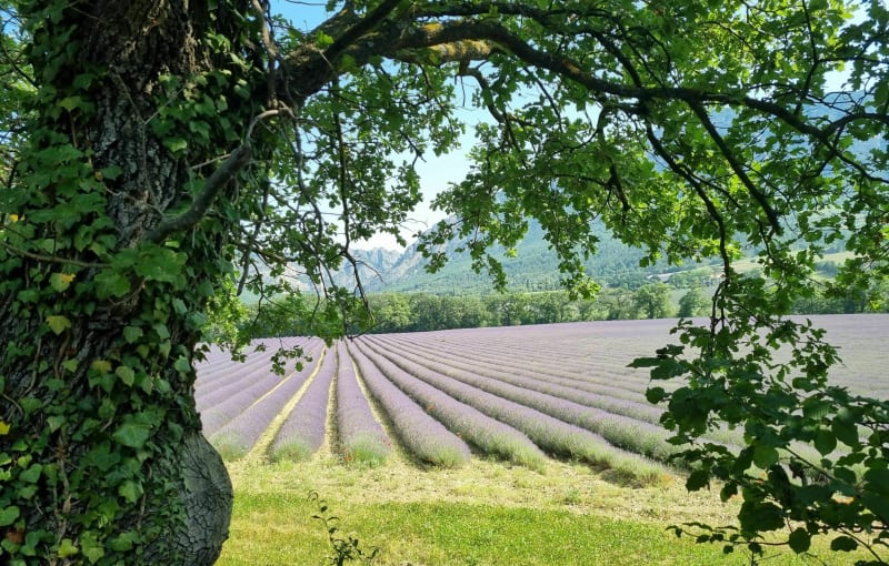 Balade sympa le long du Roubion au départ de Francillon - Francillon-sur-Roubion