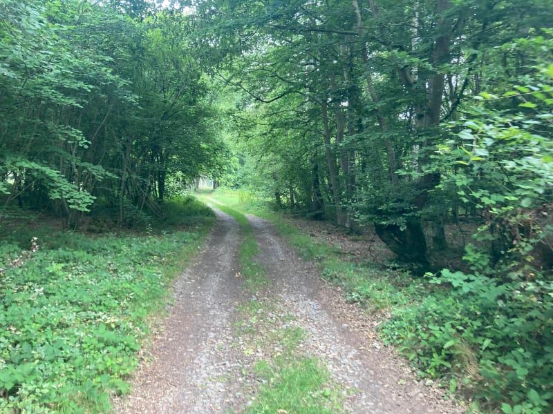 Parcours autour de la vallée de la voie verte - La Haye-de-Calleville