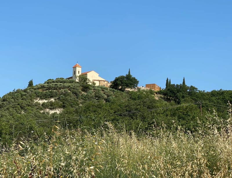 Boucle pars Saint-Marc, à travers vignes et forêts au départ des Bassacs - Saint-Saturnin-lès-Apt