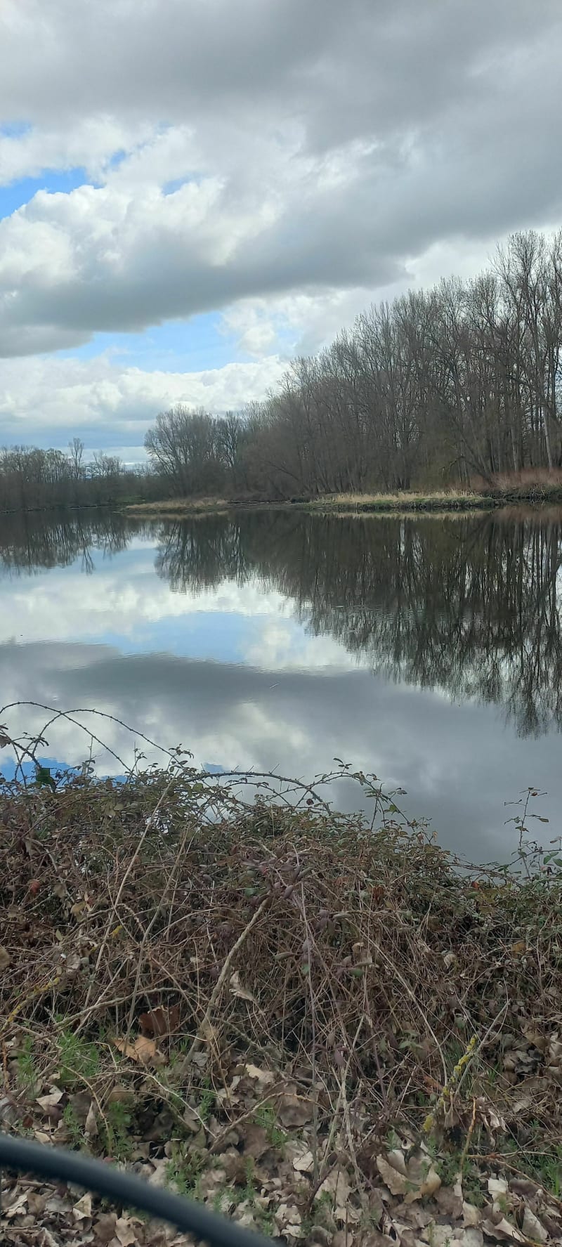Bord de Loire à Cuzieu - Montrond-les-Bains
