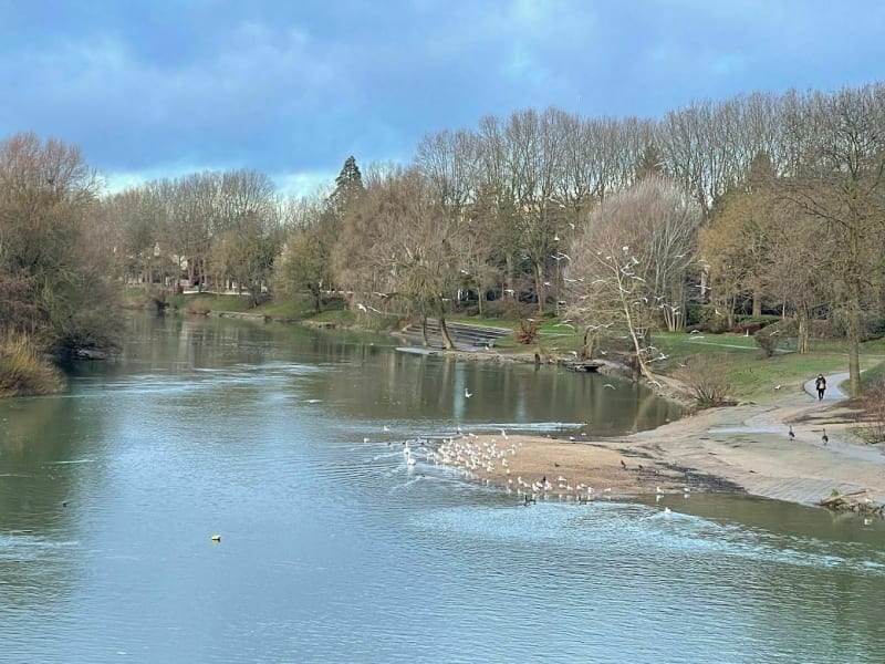 Balade aux bords de la Marne à Créteil - Passerelle du Moulin - Créteil