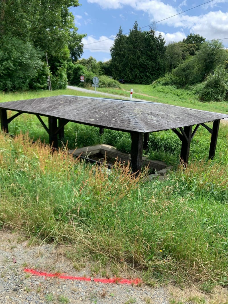 Balade vélo en campagne vers Le Tronchet - Miniac-Morvan