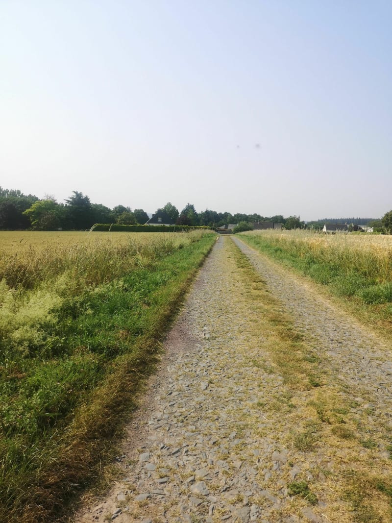 Campagne Mauronnaise - Mauron