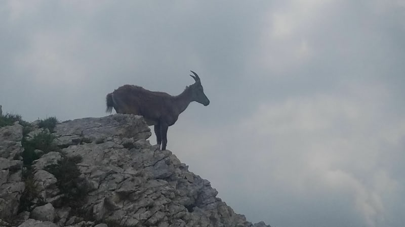 Randonnée au Grand Veymont - Gresse-en-Vercors