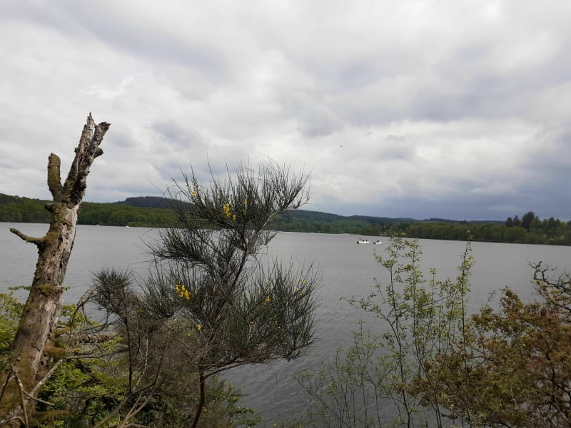 Le bord du barrage de Maché en partant d'Aizenay - Aizenay