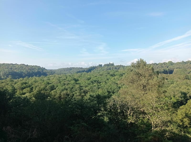 Wandeling Cleguer, via Keraly vanuit Saint-Etienne - Cléguer