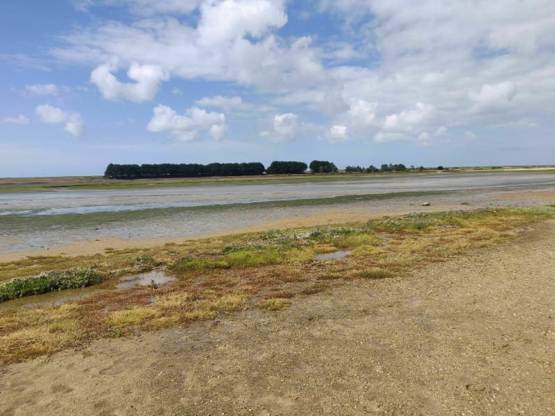Boucle autour de Mer Blanche en passant par la chapelle Saint-Sébastien - Fouesnant