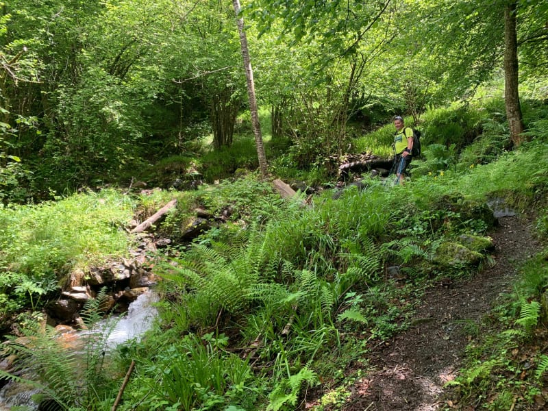 Balade vers le lac d’Estaing - Sireix