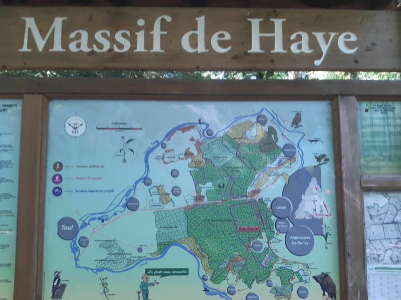 Balade bucolique VTT dans les forêts de Nancy Sud - Vandœuvre-lès-Nancy