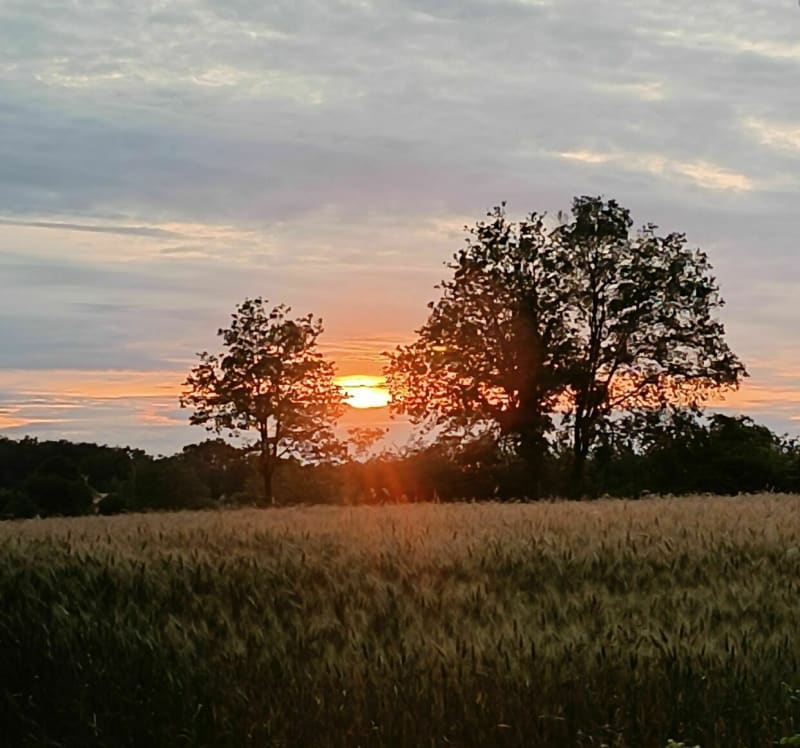 Rando depuis Jardres, dans les bois de Talmont et Sanzelle - Jardres