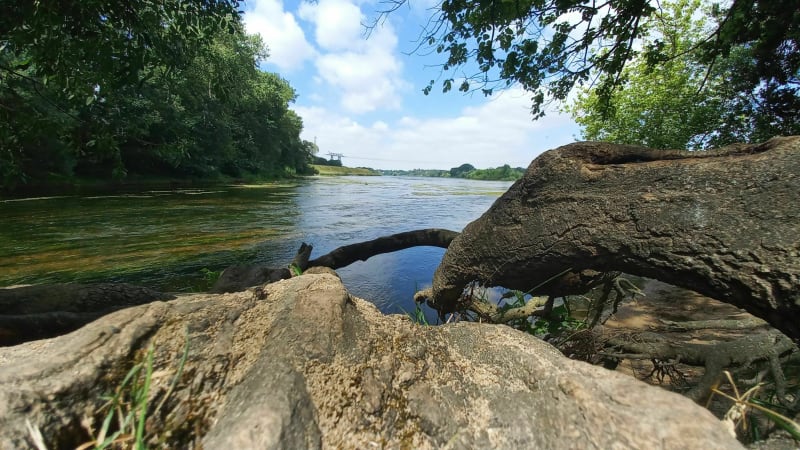 La pointe de Courpain - Saint-Pryvé-Saint-Mesmin