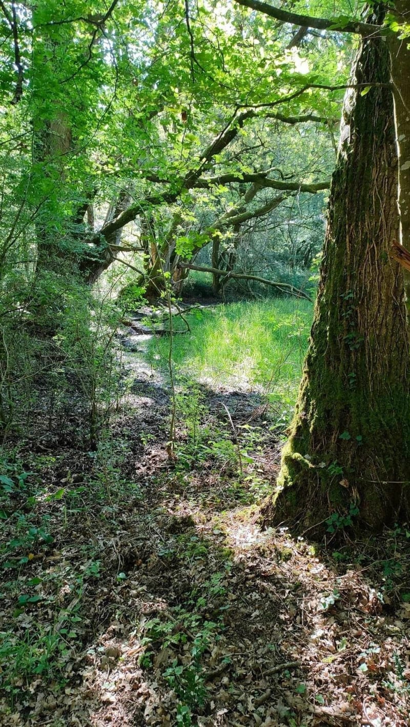 Balade à Tour-en-Sologne - Tour-en-Sologne