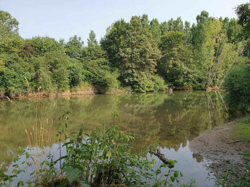 Balade entre le Jura et le Doubs pour retrouver l'Ognon - Jallerange